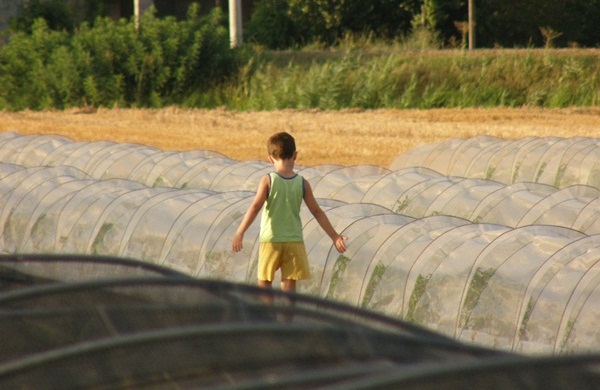 L'Orto di Silvia - Azienda biologia veneta a Ceneselli (RO)